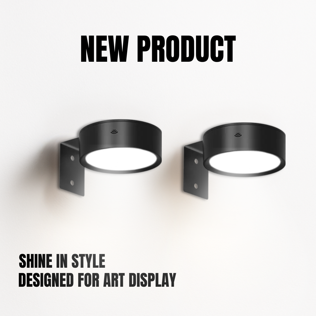 Art Display Wall Lamp